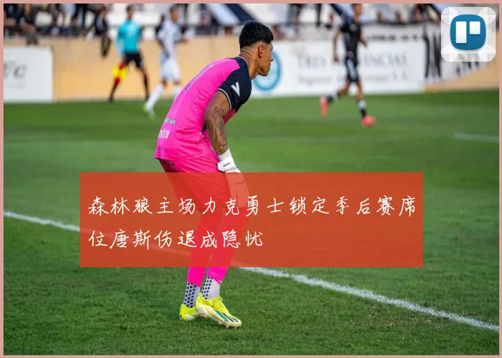 森林狼主场力克勇士锁定季后赛席位唐斯伤退成隐忧