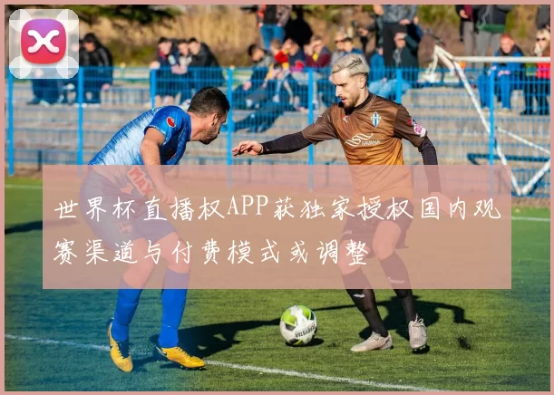 世界杯直播权APP获独家授权国内观赛渠道与付费模式或调整