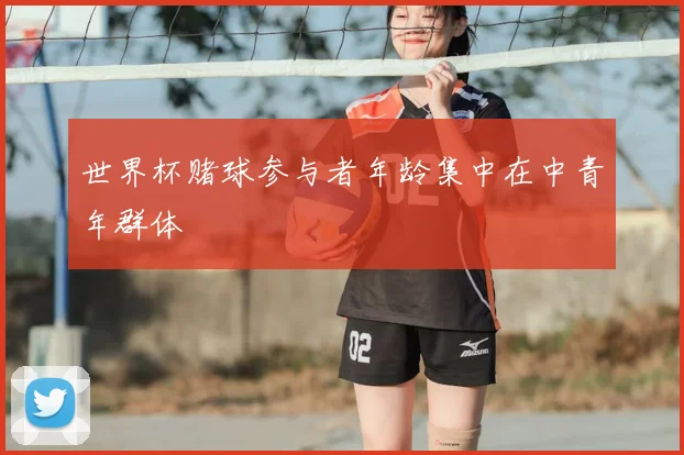 世界杯赌球参与者年龄集中在中青年群体
