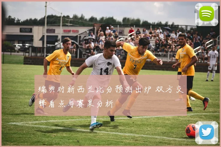 瑞典对新西兰比分预测出炉 双方交锋看点与赛果分析