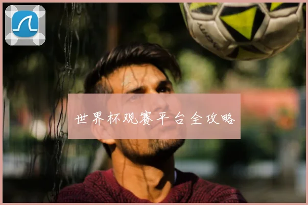 世界杯观赛平台全攻略