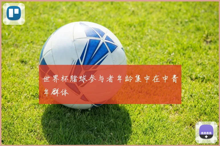 世界杯赌球参与者年龄集中在中青年群体