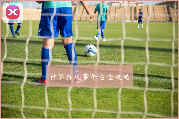 世界杯观赛平台全攻略
